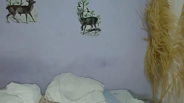 chica sexy05 online show from 4, 2, 2026