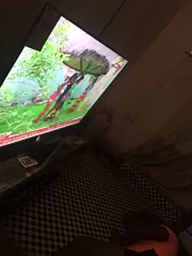 candospiriy online show from 23, 2, 2026