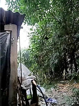 Hotty-rosni online show from 15, 11, 2025