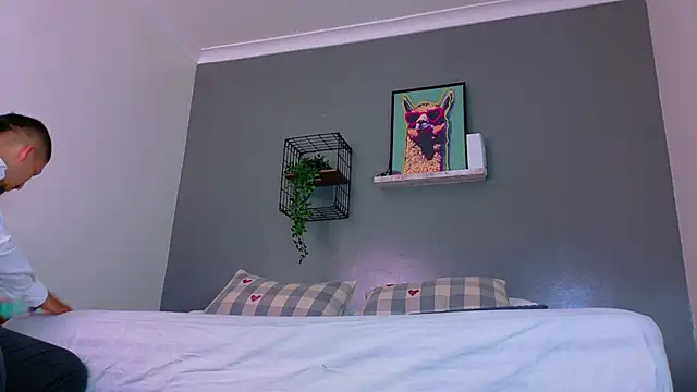 MrFox   online show from 28, 3, 2026