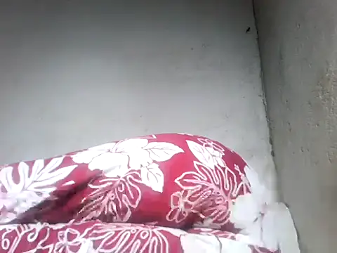 star ass online show from 12, 2, 2026