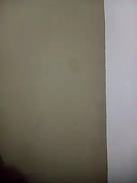 Snapshot of Felipiiiiiii chatting on 8, 2, 2026 Felipiiiiiii online show from 8, 2, 2026