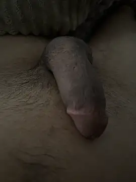 dzpieds online show from 17, 3, 2026