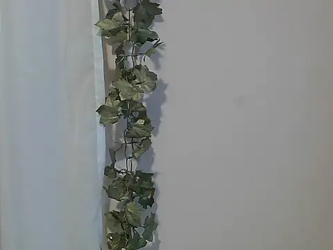 Snapshot of angelainparis28 chatting on 27, 11, 2025 angelainparis28 online show from 27, 11, 2025