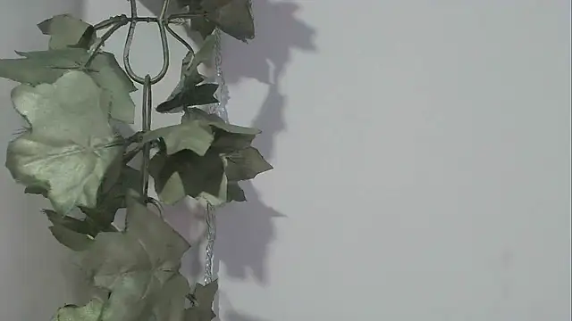 Snapshot of angelainparis28 chatting on 17, 11, 2025 angelainparis28 online show from 17, 11, 2025