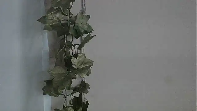 Snapshot of angelainparis28 chatting on 2, 12, 2025 angelainparis28 online show from 2, 12, 2025