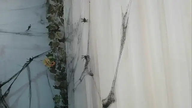 Snapshot of angelainparis28 chatting on 21, 10, 2025 angelainparis28 online show from 21, 10, 2025