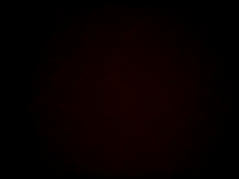 SparklesB1tch online show from 15, 10, 2025