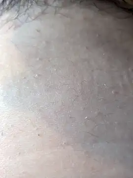 toddy134 online show from 2, 3, 2026