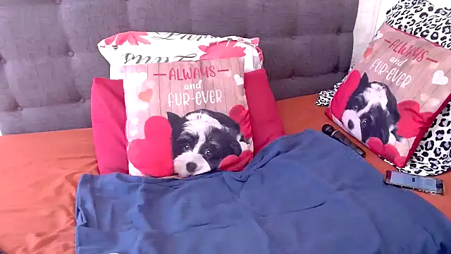 chockclitx5 online show from 16, 2, 2026