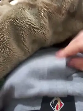 Abodi12aa77 online show from 12, 3, 2026