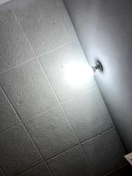 LICEET online show from 20, 11, 2025