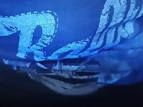 wisman1298 online show from 7, 3, 2026