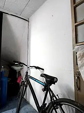 haashkyo online show from 29, 11, 2025