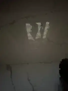 gigoloboymumbai00 online show from 20, 3, 2026