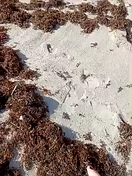 Snapshot of sarahkat86 chatting on 9, 10, 2025 sarahkat86 online show from 9, 10, 2025