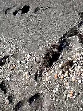 Snapshot of sarahkat86 chatting on 14, 11, 2025 sarahkat86 online show from 14, 11, 2025