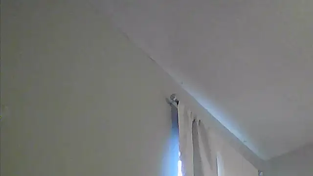 sarahkat86 online show from 6, 3, 2026