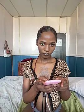 Trans fairy online show from 28, 2, 2026