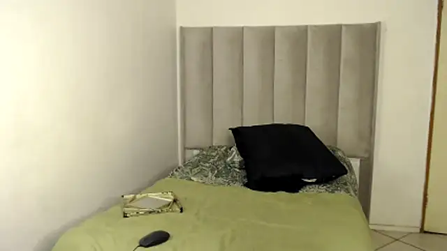 Snapshot of Trans_fairy chatting on 12, 11, 2025 Trans fairy online show from 12, 11, 2025