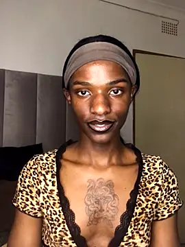 Snapshot of Trans_fairy chatting on 11, 10, 2025 Trans fairy online show from 11, 10, 2025