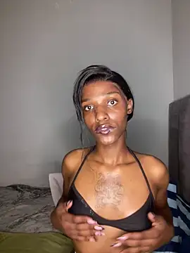 Trans fairy online show from 18, 3, 2026