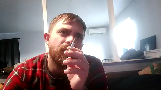 Snapshot of Bikerhot883hd chatting on 30, 11, 2025 Bikerhot883hd online show from 30, 11, 2025