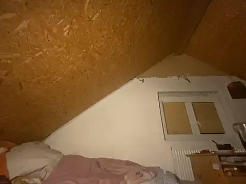 Salon1986 online show from 17, 10, 2025