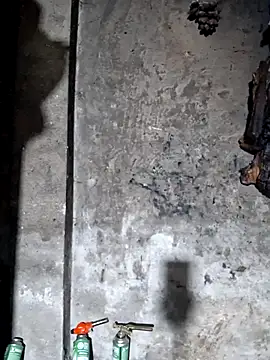 ngocngoc cute online show from 13, 3, 2026