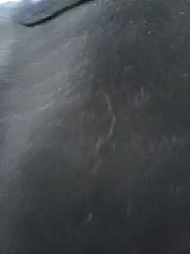 CWQ123 online show from 17, 11, 2025