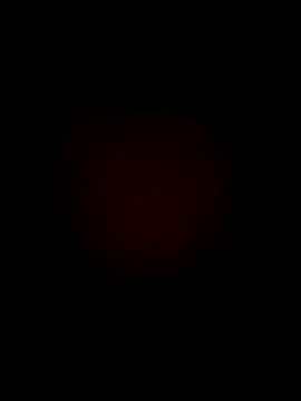 lebonfeu online show from 26, 9, 2025