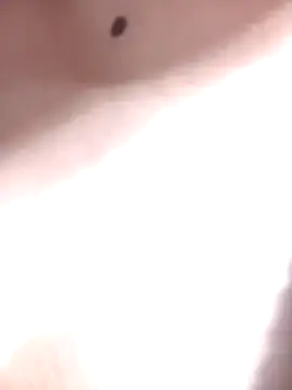 LINA-DALOUA online show from 28, 11, 2025