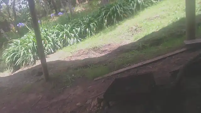 habdiela online show from 19, 4, 2026