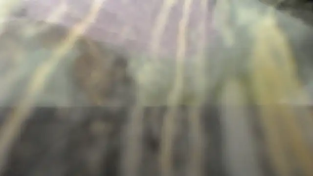 habdiela online show from 28, 10, 2025