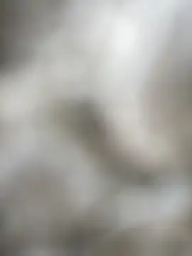 Foxxy Doll online show from 5, 2, 2026