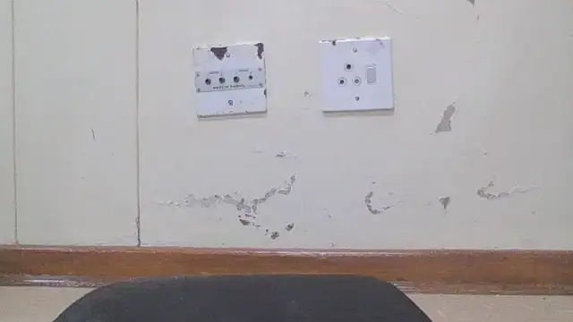 Ziphoo2 online show from 25, 3, 2026