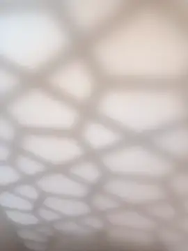 bullut06 online show from 11, 1, 2026