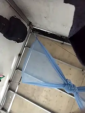 naop04 online show from 31, 10, 2025