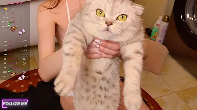 Angell Wild online show from 24, 11, 2025