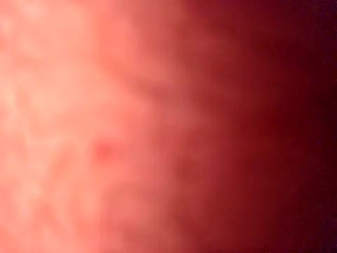 iamthepublickmasterbater online show from 19, 4, 2026