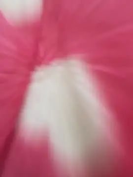 Chillo956 online show from 6, 3, 2026