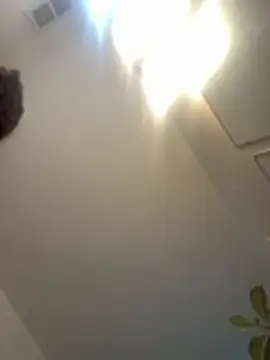 1n0nlythroat online show from 28, 7, 2026