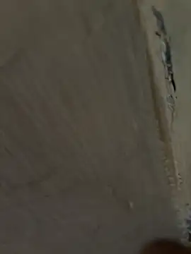 jackey3193 online show from 19, 4, 2026