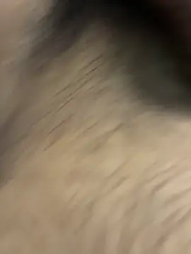 jackey3193 online show from 12, 4, 2026