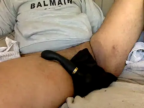 CaiBull online show from 24, 2, 2026