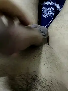 Zepe 12 online show from 9, 10, 2025