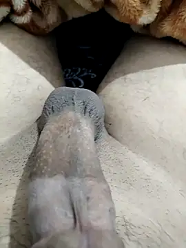 Zepe 12 online show from 10, 3, 2026