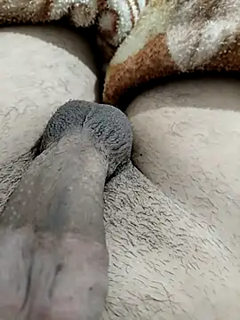 Zepe 12 online show from 13, 2, 2026