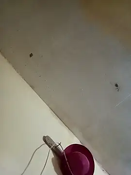 Snapshot of RandalHot chatting on 27, 11, 2025 RandalHot online show from 27, 11, 2025