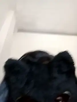 Slllll Couple00 online show from 19, 12, 2025